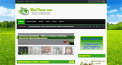 Desktop Screenshot of medtravi.com