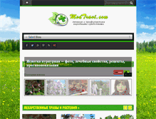 Tablet Screenshot of medtravi.com